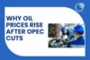 Why Oil Prices Rise After OPEC Cuts – What It Means for You Today - Post Thumbnail