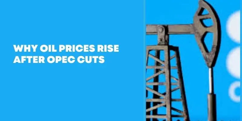 Why Oil Prices Rise After Opec Cuts – Global Energy Markets React To Opec Production Decisions