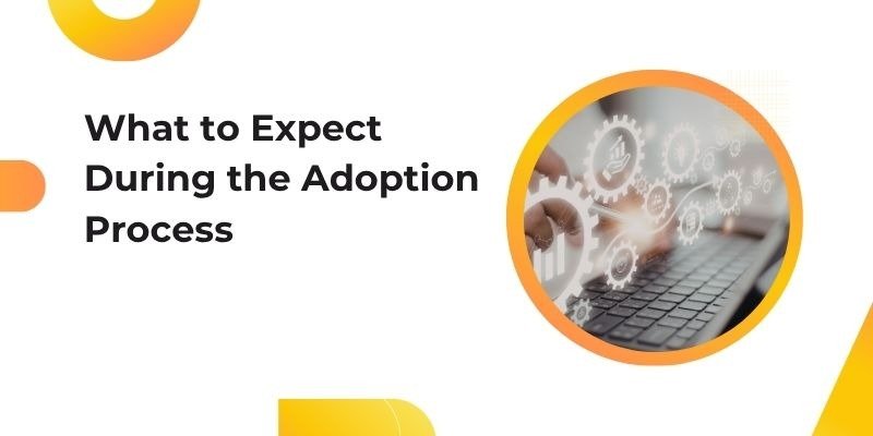 Timeline showing the adoption process of customer support automation tools.